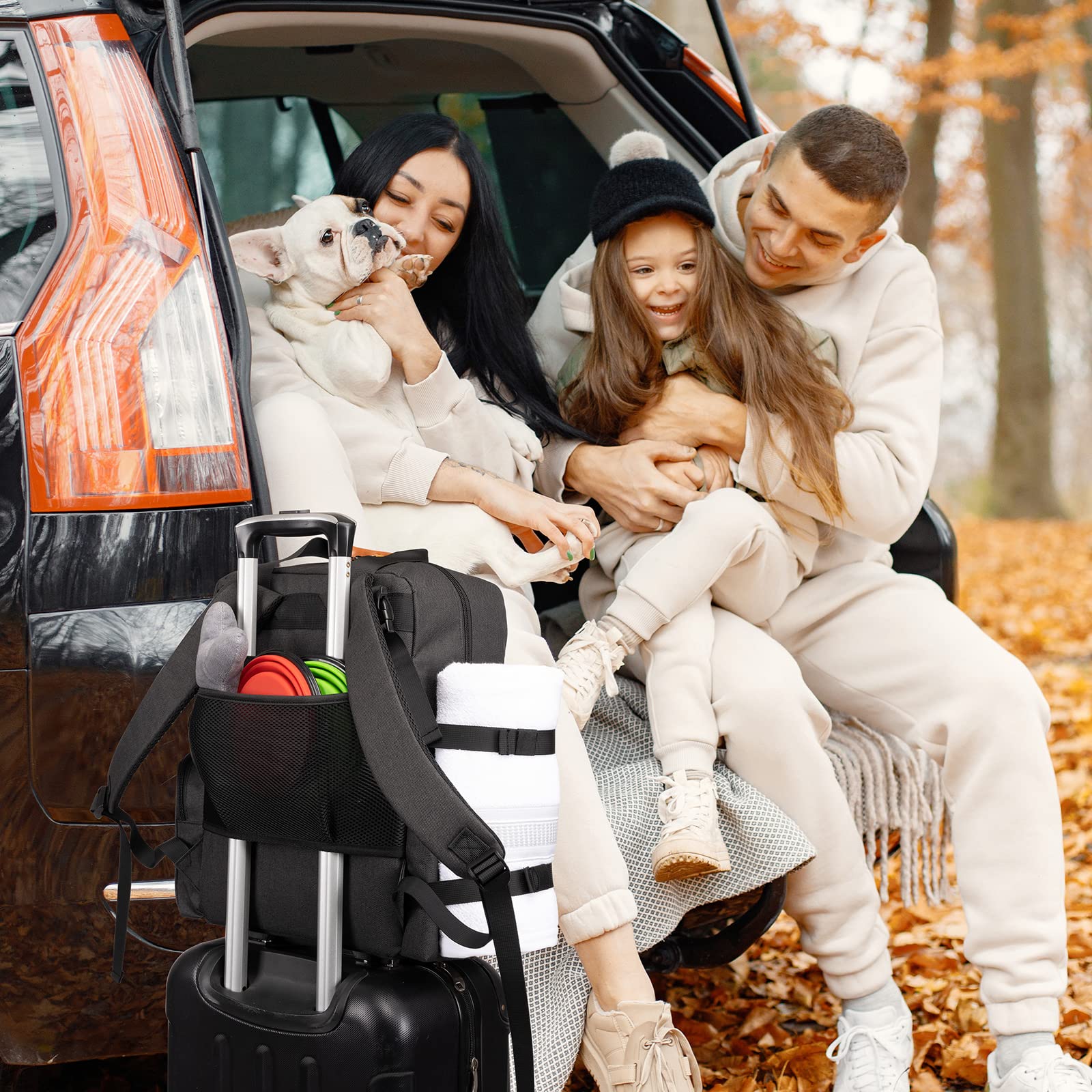 Modoker organizador-accesorios-mascotas: mantiene todo a mano durante escapadas