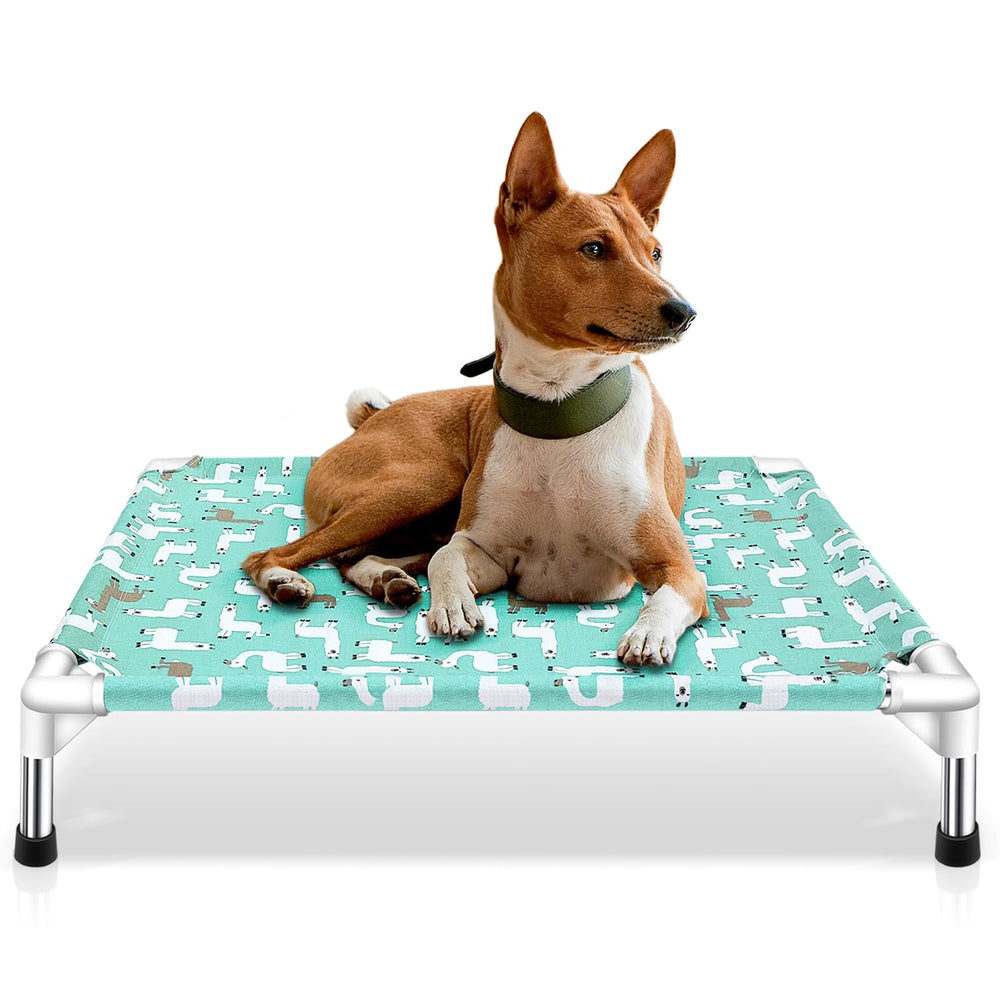 Modorki Cama para Perro Elevada con marco de acero inoxidable, estable y duradera.