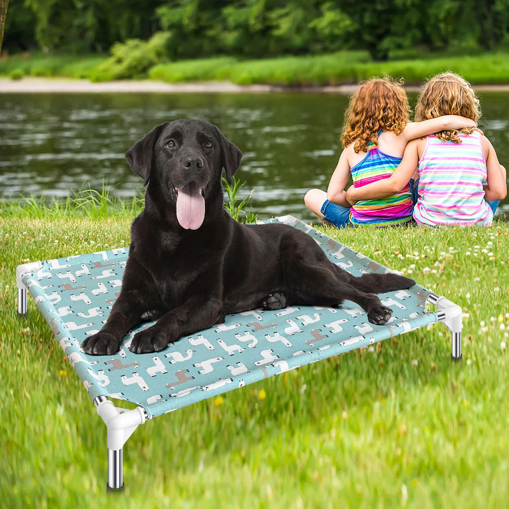 Modorki Cama para Perro Elevada fácil de transportar y guardar.