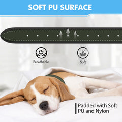 MODUS collar nylon PU suave, diseño cómodo para uso diario.