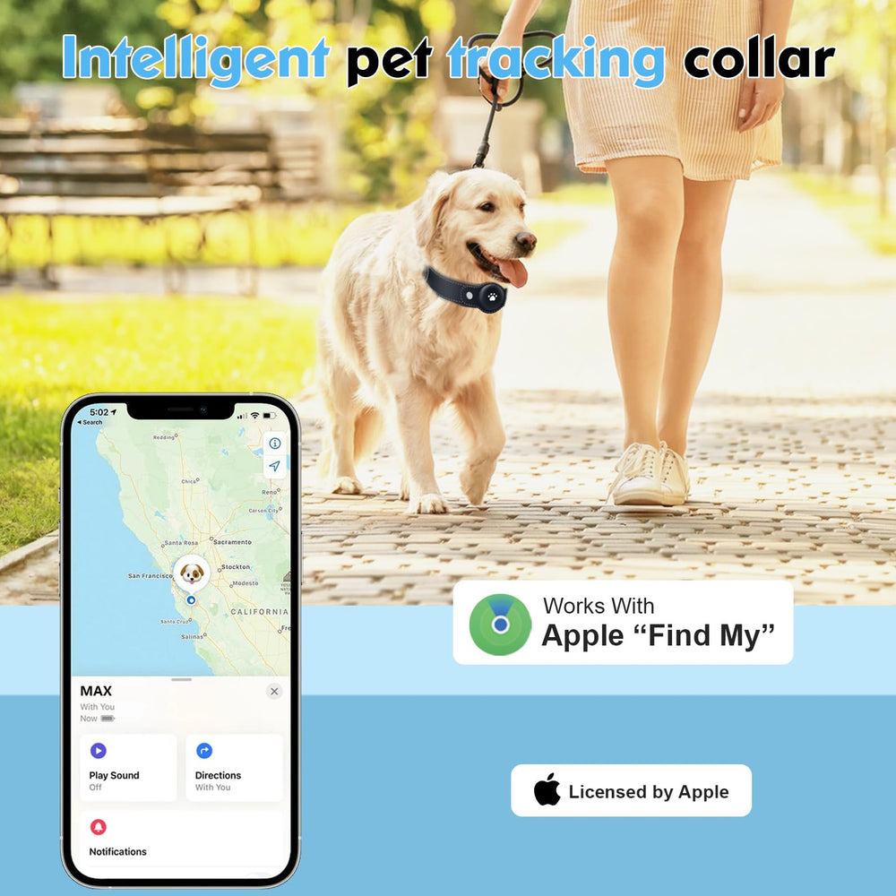 MODUS collar ajustable para perros, comodidad y ajuste perfecto.