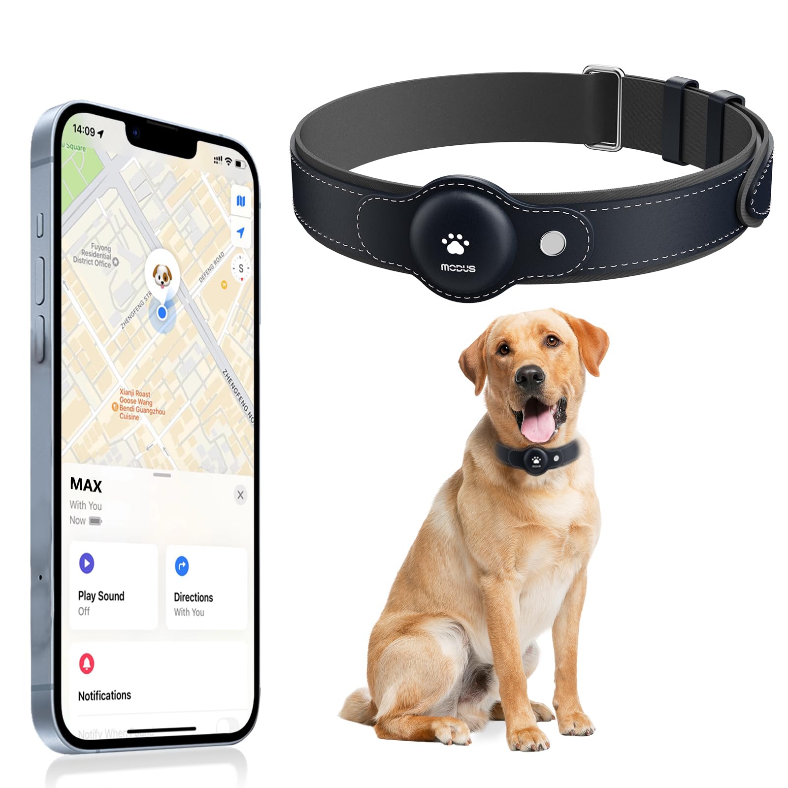 MODUS rastreador para perro, vista frontal del collar, localización en tiempo real.