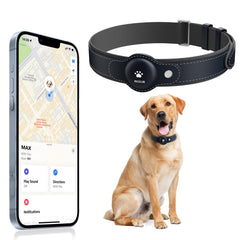 MODUS rastreador para perro, vista frontal del collar, localización en tiempo real.