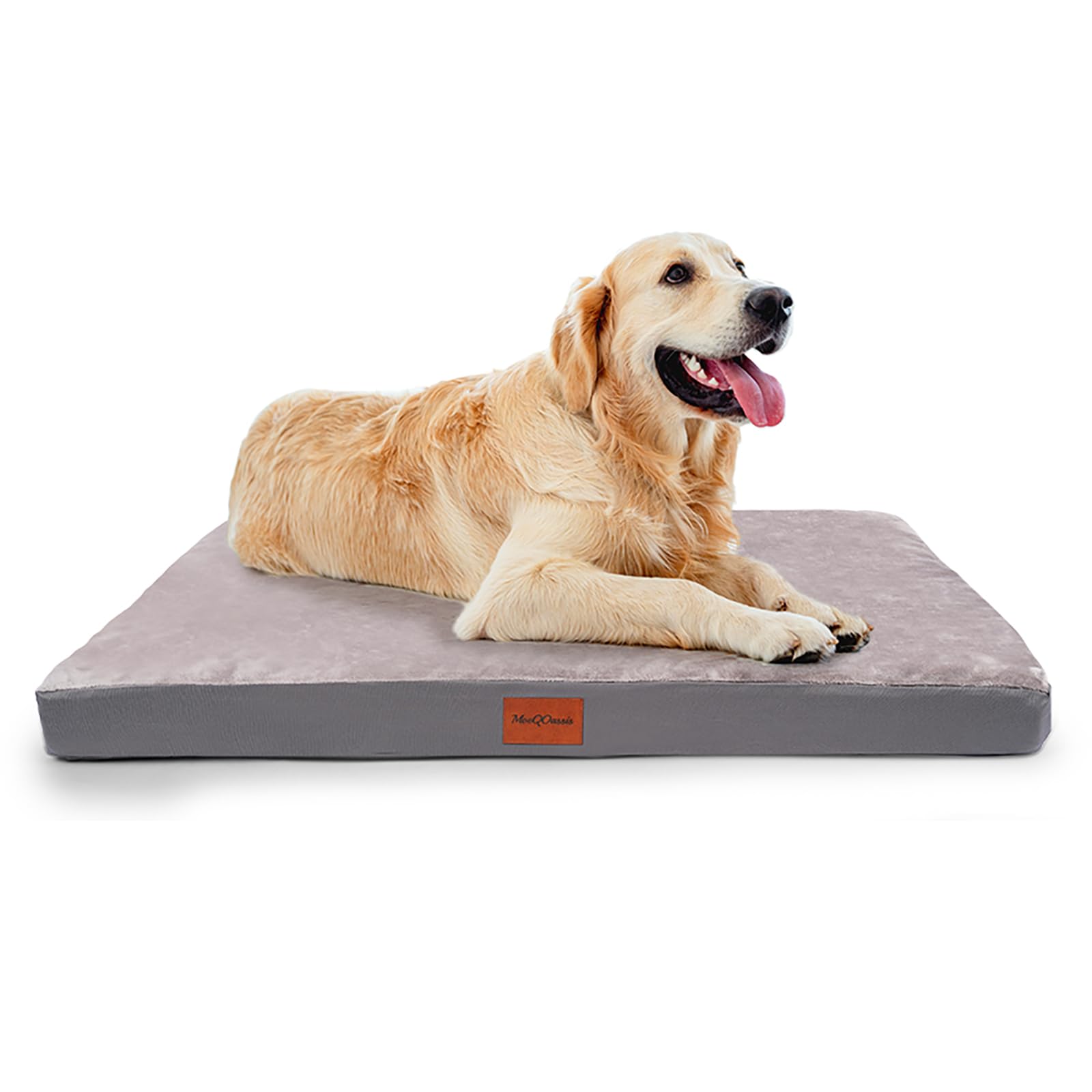 MoeQOassis cama ortopédica para perros, vista frontal, soporte para articulaciones.