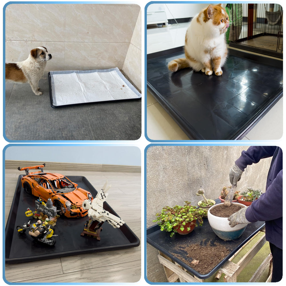 MOFBEAWK bandeja para entrenamiento de higiene canina, facilita hábitos.