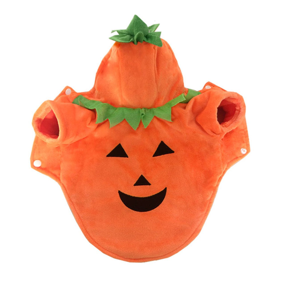 Disfraz Mogoko con sombrero de calabaza, aspecto adorable para fiestas