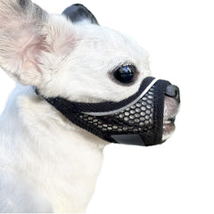 MoiiLavin bozal para perro pequeño con malla suave para uso diario