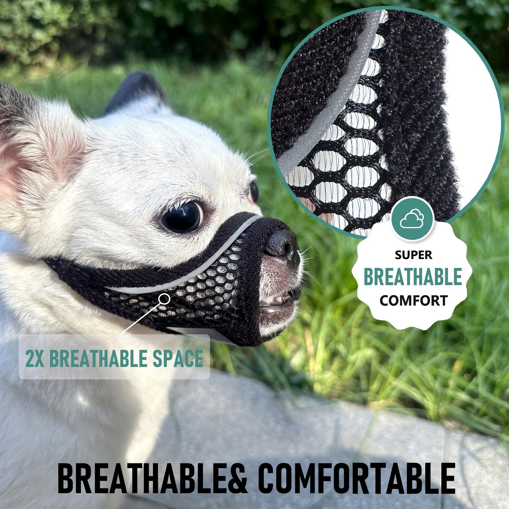 Bozal MoiiLavin para chihuahua y pomerania, ajuste ergonómico y cómodo.