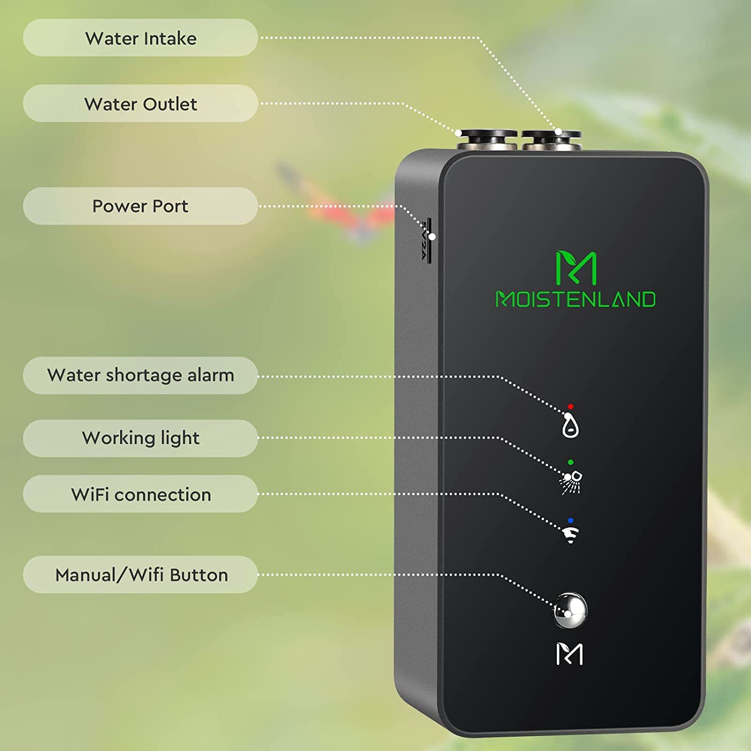 Moistenland mister pulverizacion terrario: ajuste de frecuencia