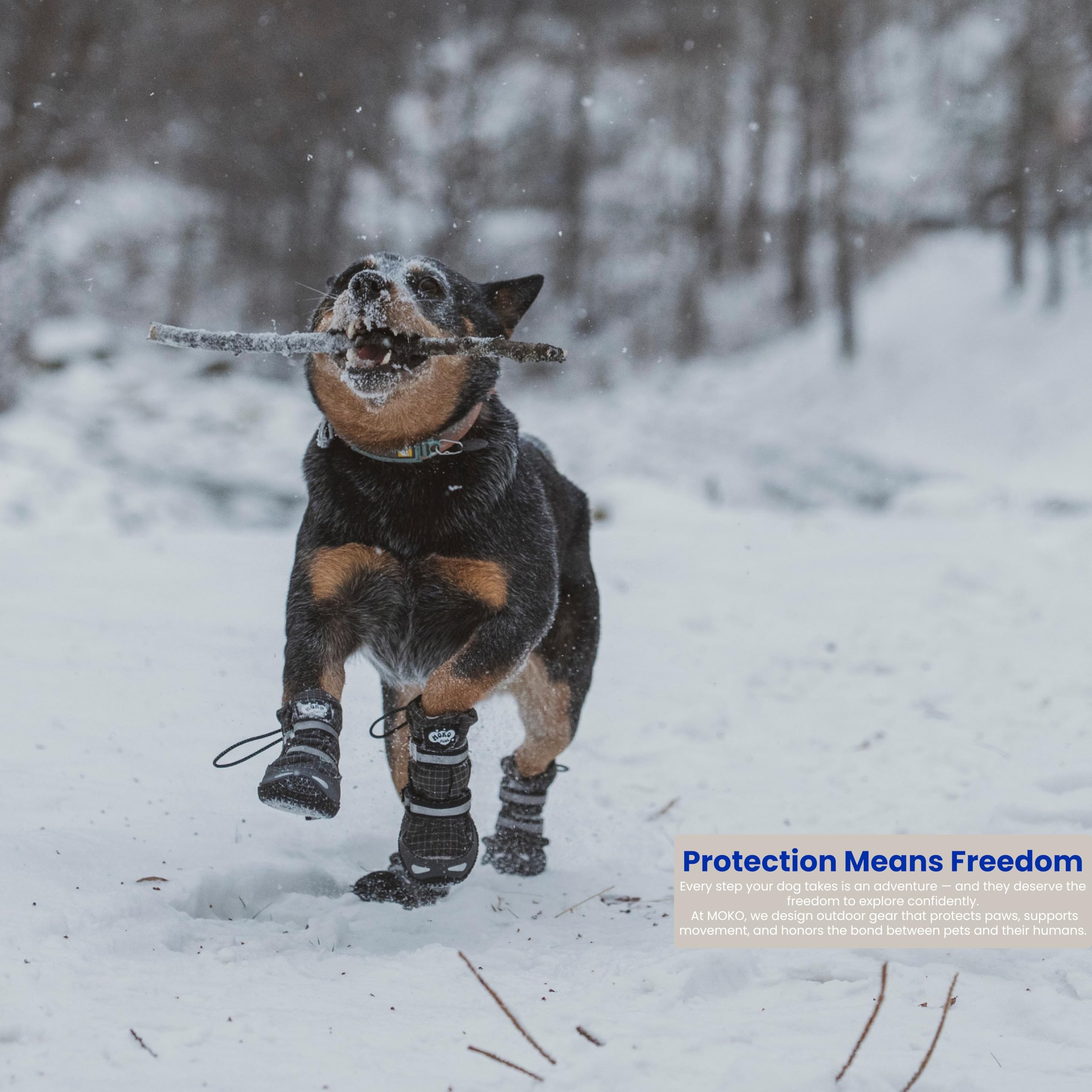 MOKO PAWS: suela de goma natural con agarre óptimo en nieve y superficies mojadas.
