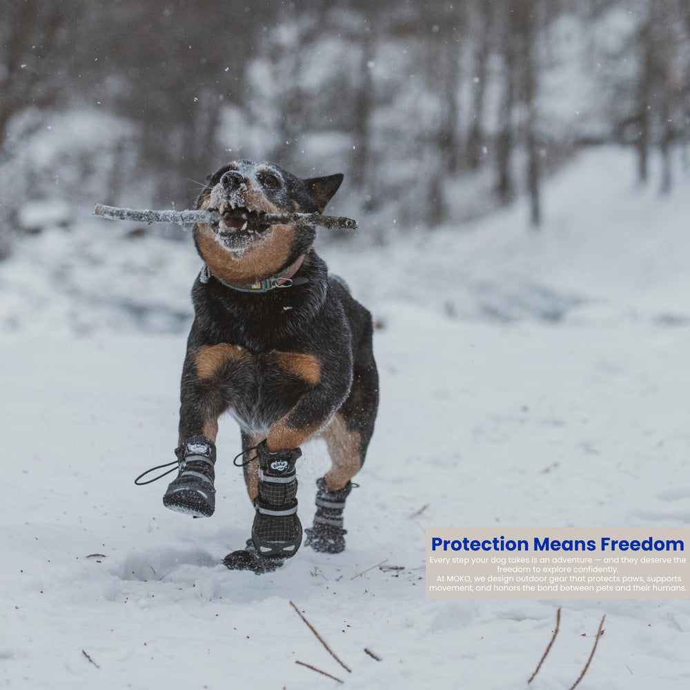 MOKO PAWS: suela de goma natural con agarre óptimo en nieve y superficies mojadas.