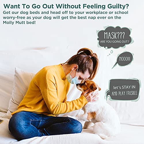 Uso diario con Molly Mutt, funda impermeable para cama de perro.