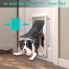 MOLYLY: paso suave para mascotas grandes gracias a la flexibilidad.