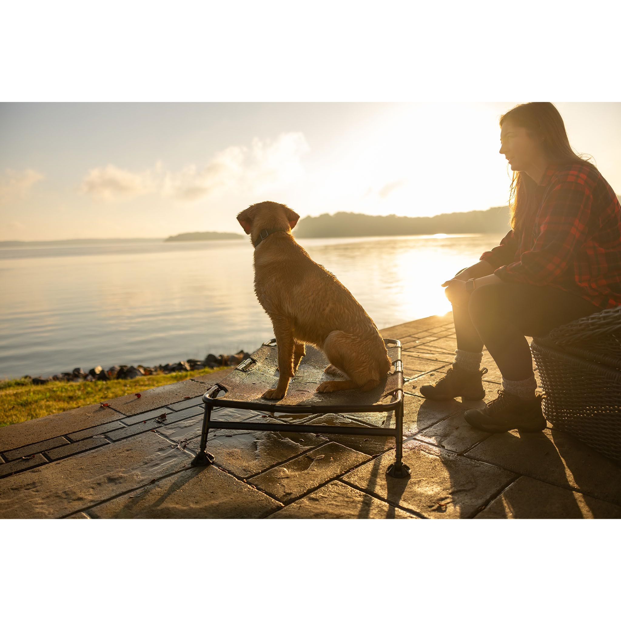 Momarsh Home Cot Breeze ideal para perros grandes en casa