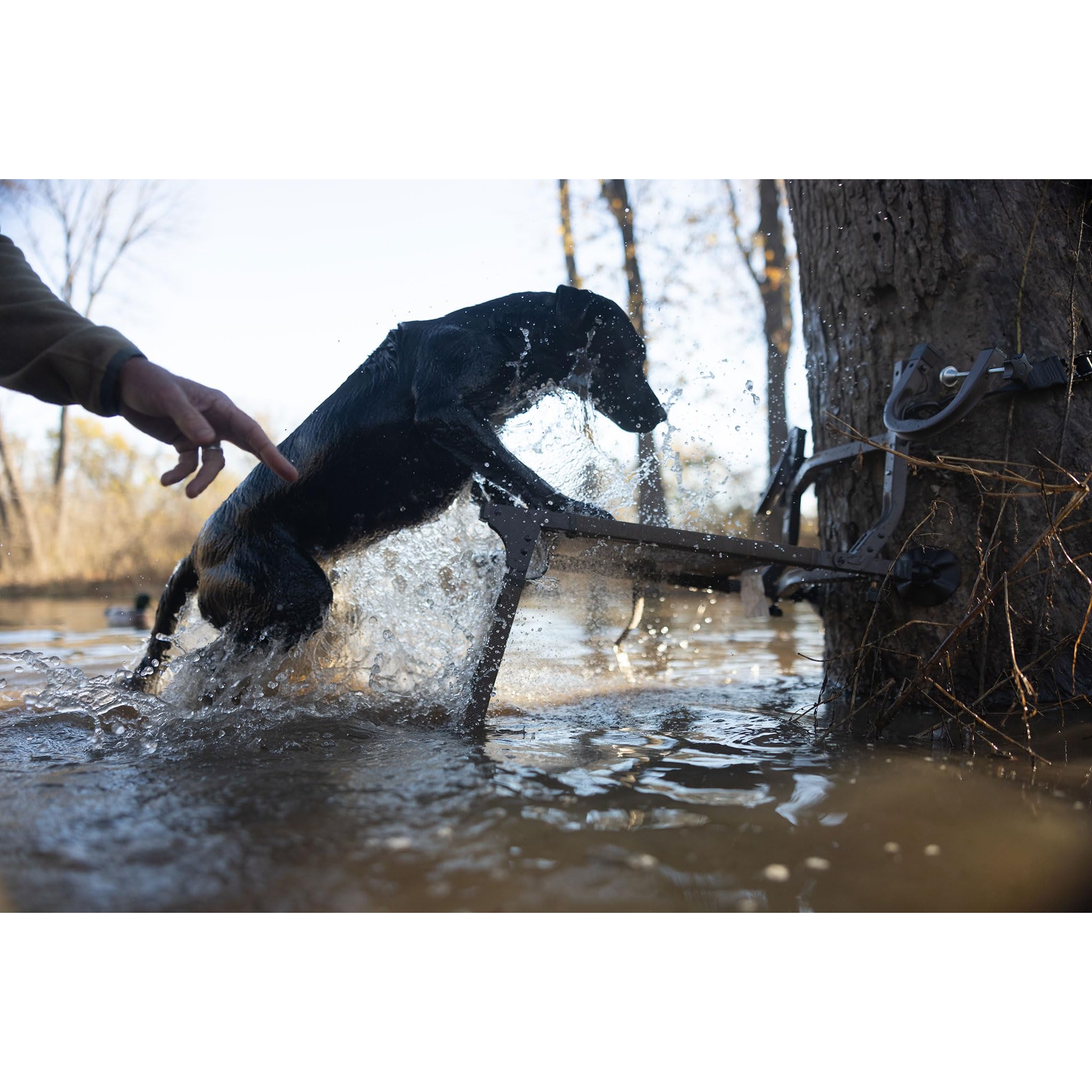 Momarsh Ramp Stand: malla drenante mantiene al perro seco y estable.