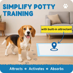 MoMoCo Puppy Pads 6 capas: absorción rápida y control de olores