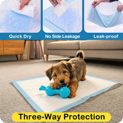 MoMoCo Puppy Pads con base impermeable: protege el suelo