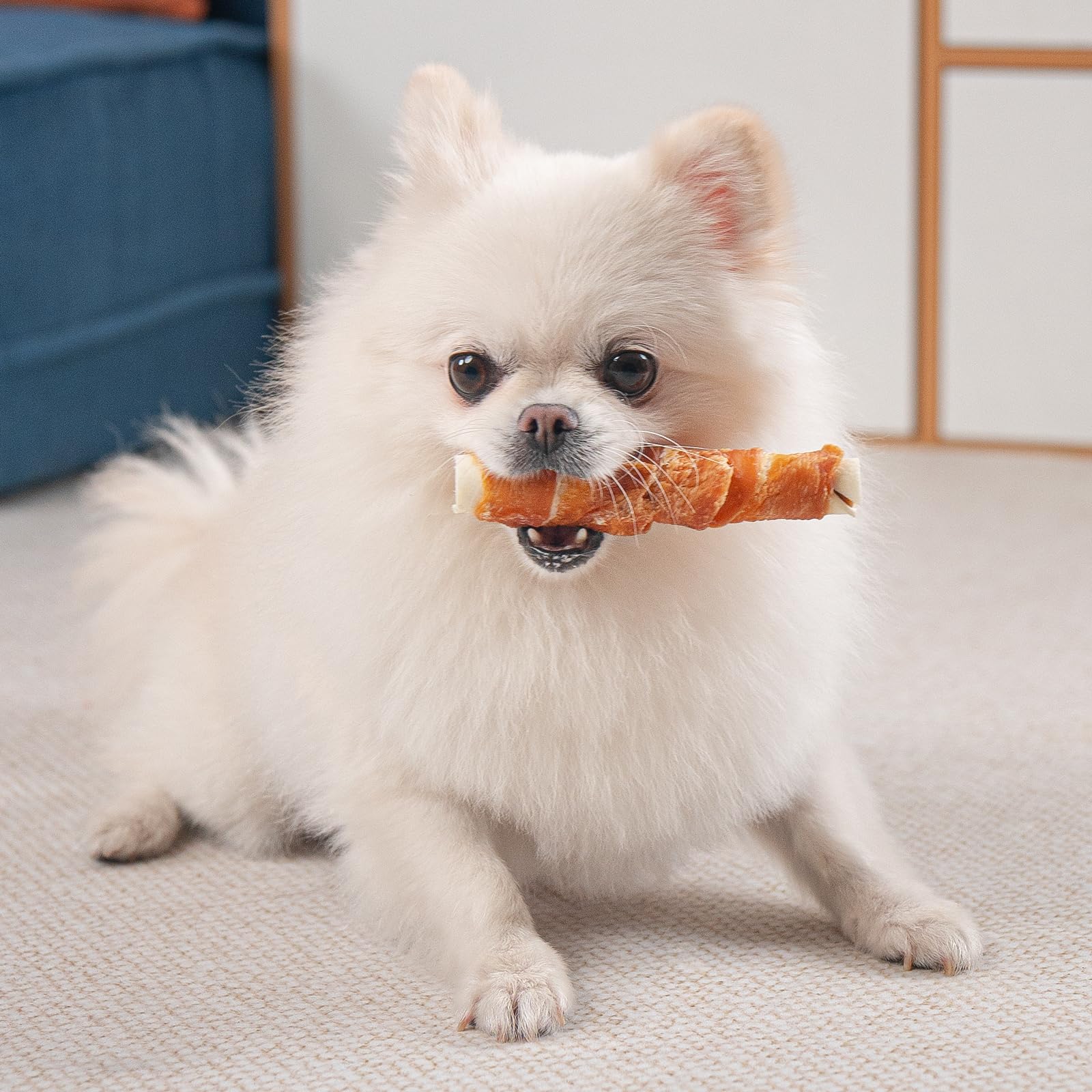 MON2SUN delicias para perros envueltos de pollo, posible sabor agradable y masticación.
