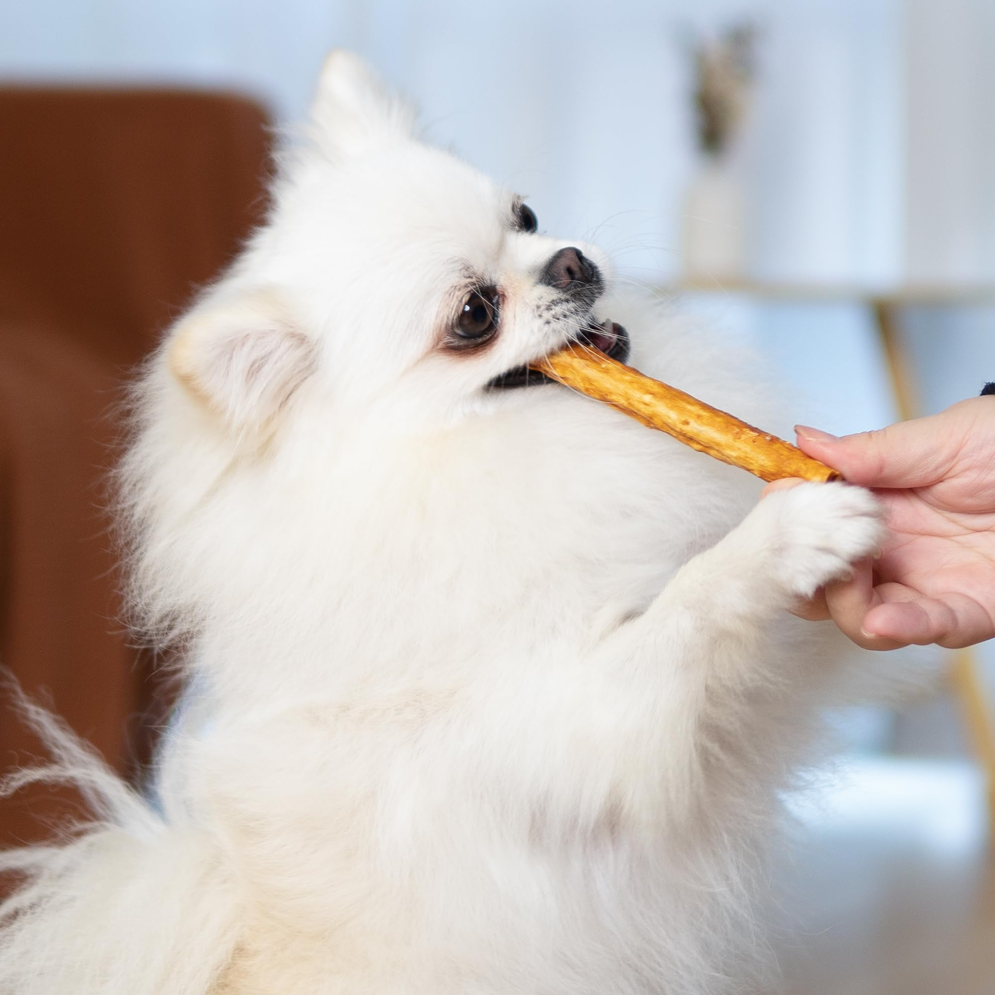 MON2SUN sabor-pollo-premio-perro, snack apetecible