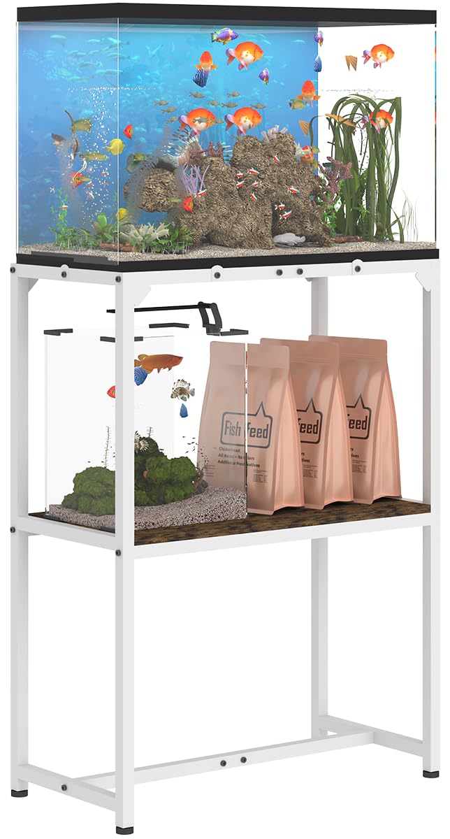 Mondazie banco para acuario de 20 galones con superficie estable para observación clara.