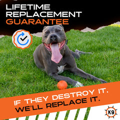Monster K9 Bola: alta durabilidad para perros grandes durante juegos de buscar y traer.