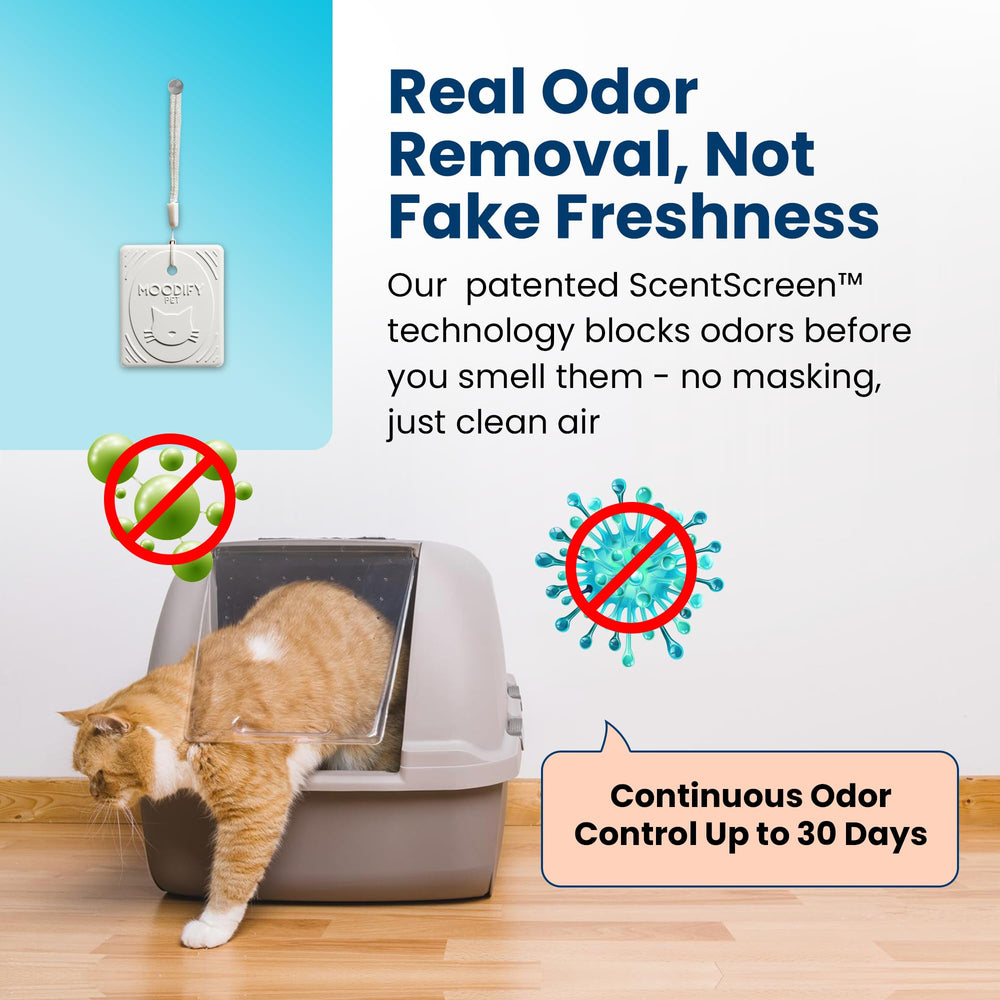 MoodifyPet: colgante para 30 días de uso, control práctico de olores.