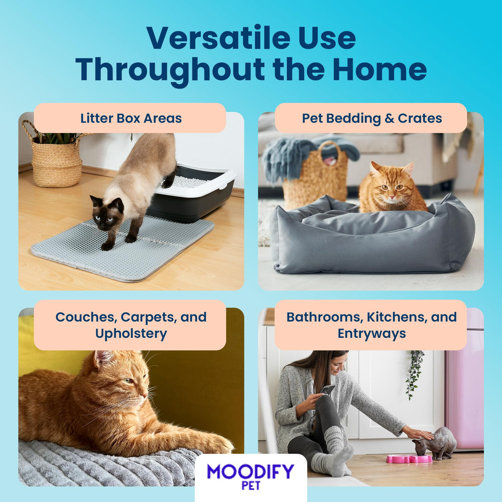 MoodifyPet sin fragancia y seguro para mascotas y niños
