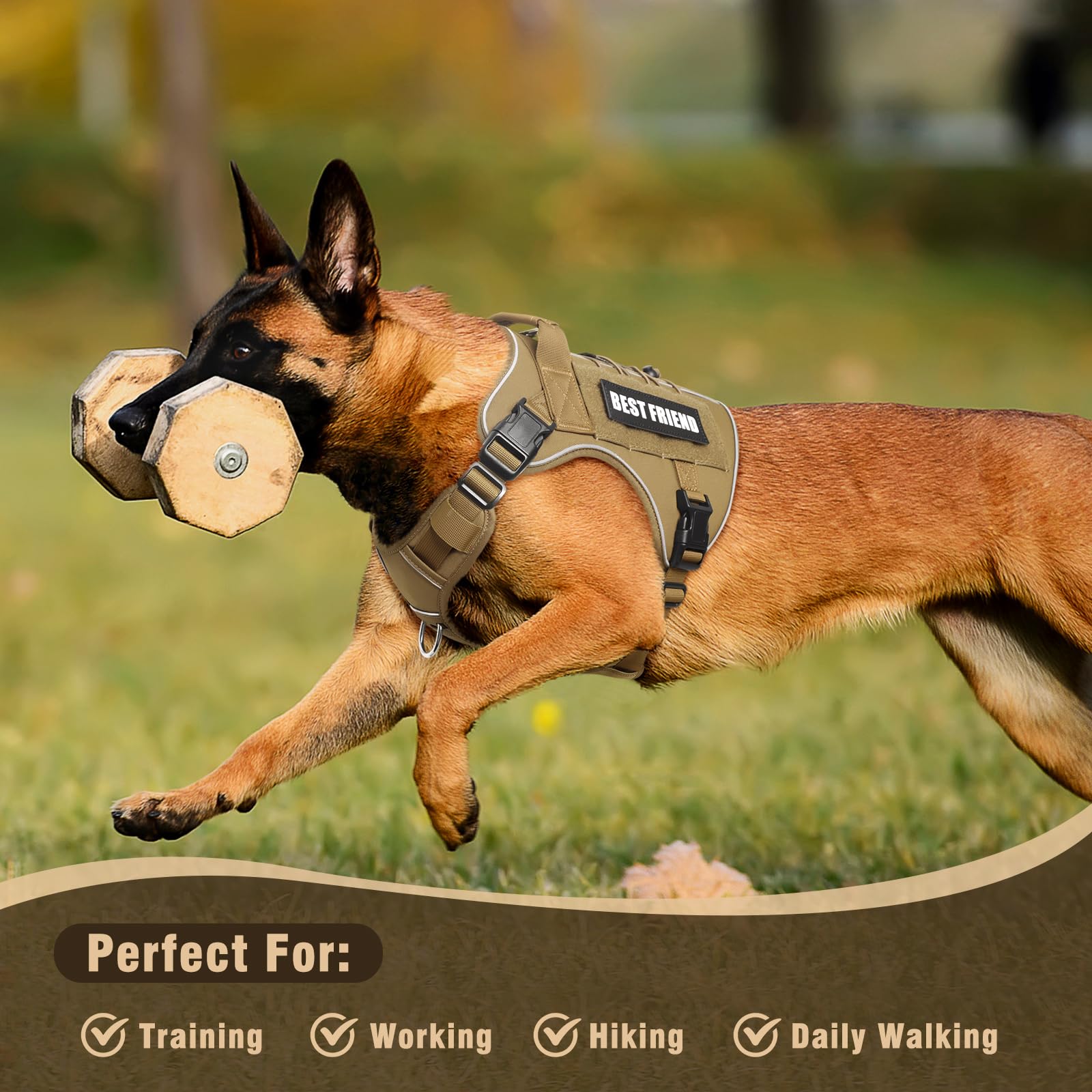 MOOGROU arnés táctico para perro pequeño, ajustes 4 puntos; ajuste personalizado.