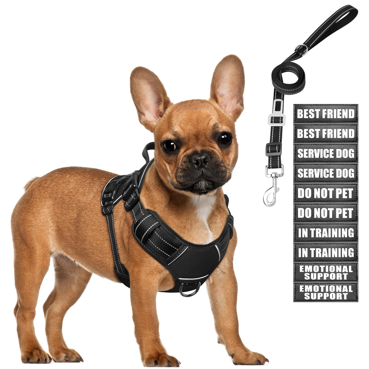 MOOGROU arnés táctico para perro talla S, cómodo y seguro para paseos.