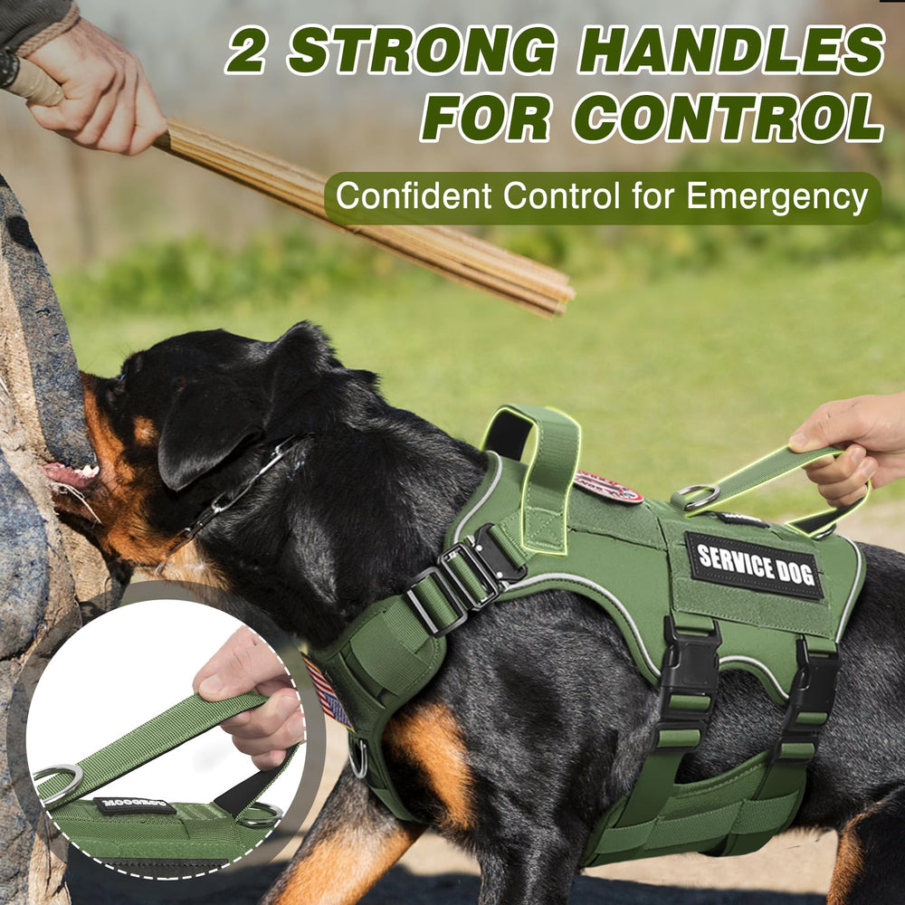 MOOGROU correa para perro, resistente para paseos y entrenamiento.