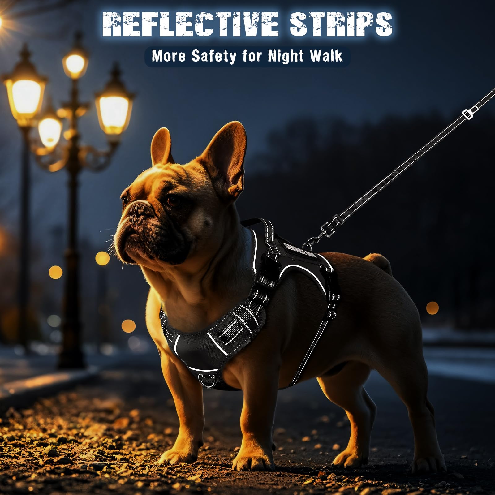 MOOGROU parches intercambiables para personalización del perro.