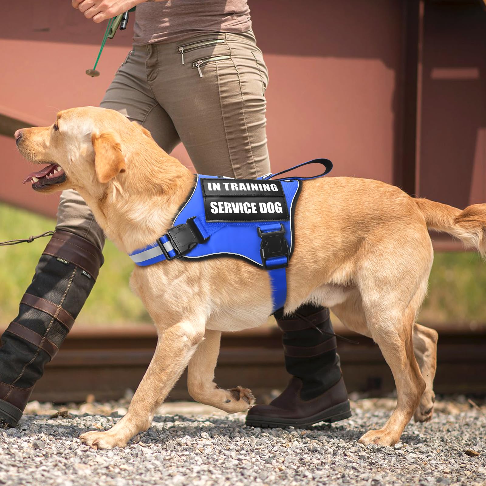 MOOGROU guía de talla para lograr ajuste perfecto en perros.