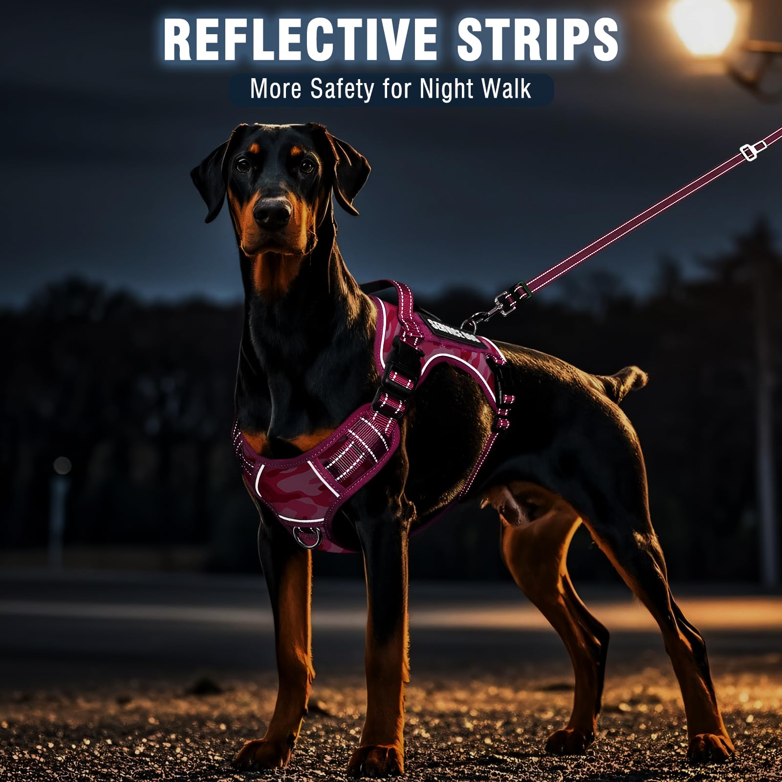 MOOGROU sistema MOLLE para expresar el estado de ánimo del perro.