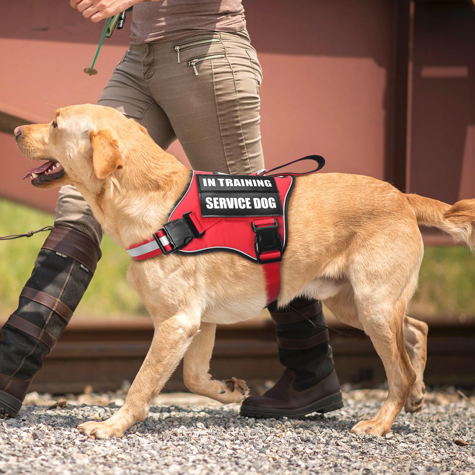 MOOGROU parches brillantes ayudan a indicar estado del perro durante entrenamiento.