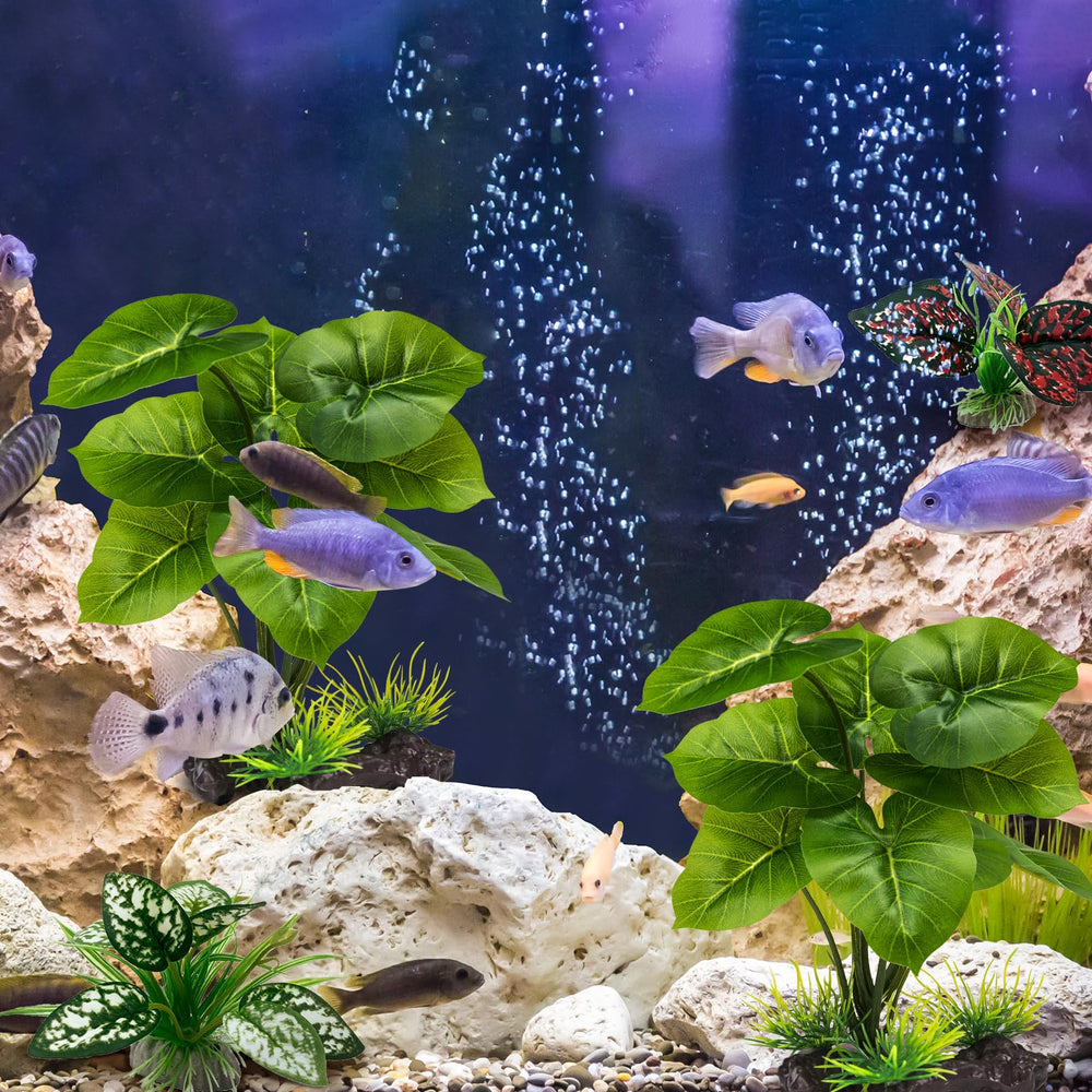 Moonorange limpieza fácil de plantas artificiales, material plástico seguro.