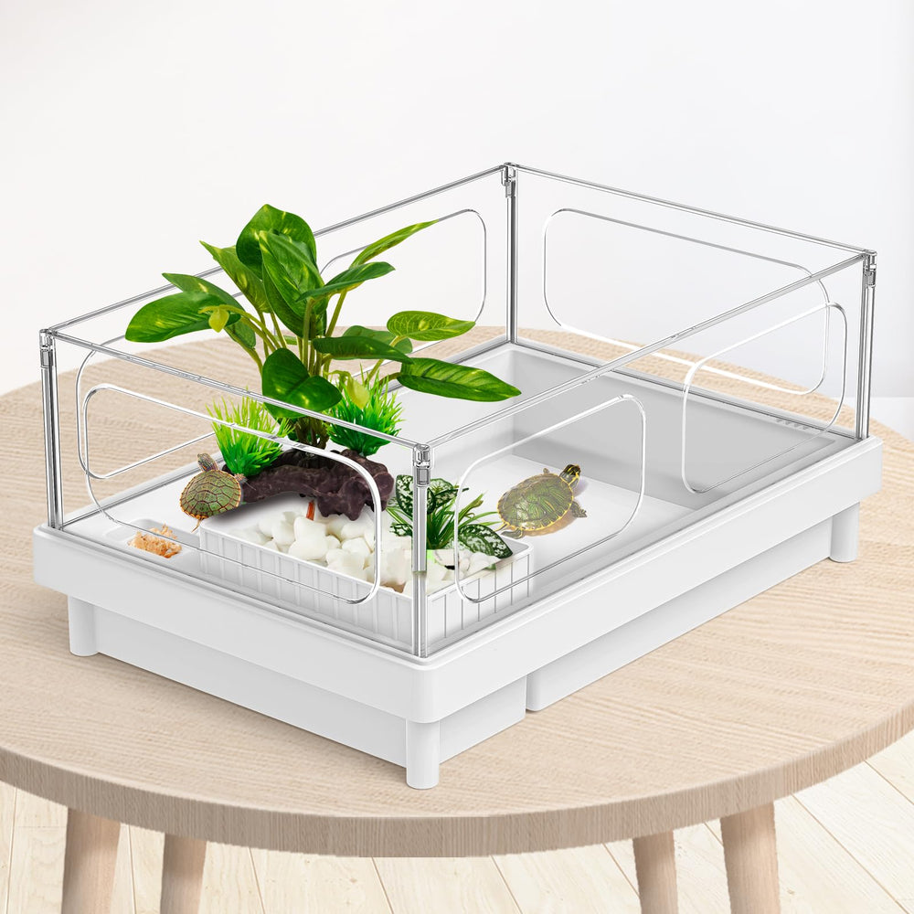 Moonorange planta apta para acuario y terrario, uso múltiple.