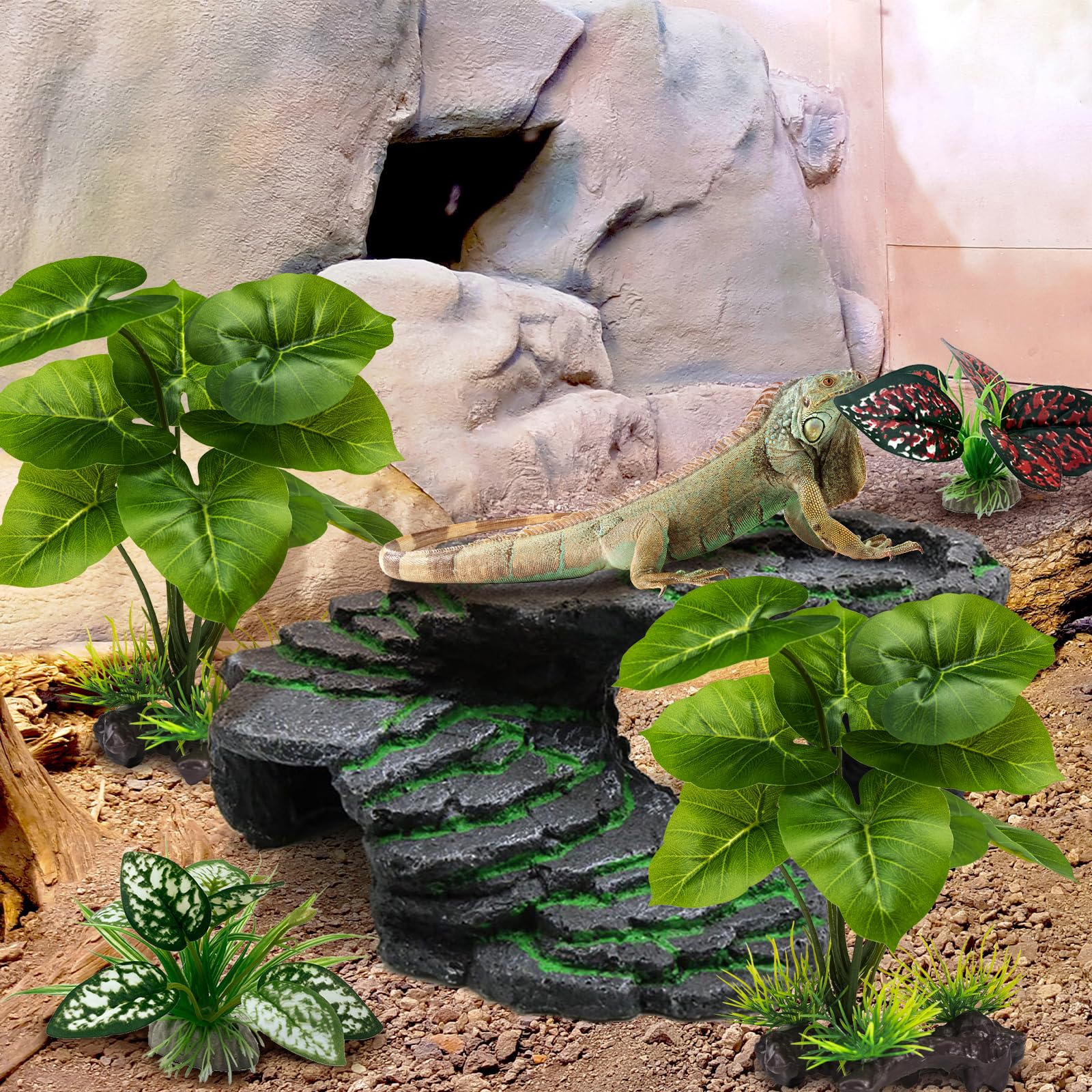Moonorange planta para acuario, evita flotación y mantiene la planta estable.