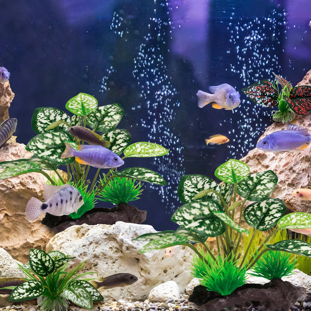 Moonorange plantas artificiales terrario limpieza fácil con agua o paño.