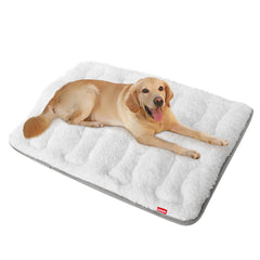 Moonsea cama para perro peluche suave 48x30, confort para siestas.