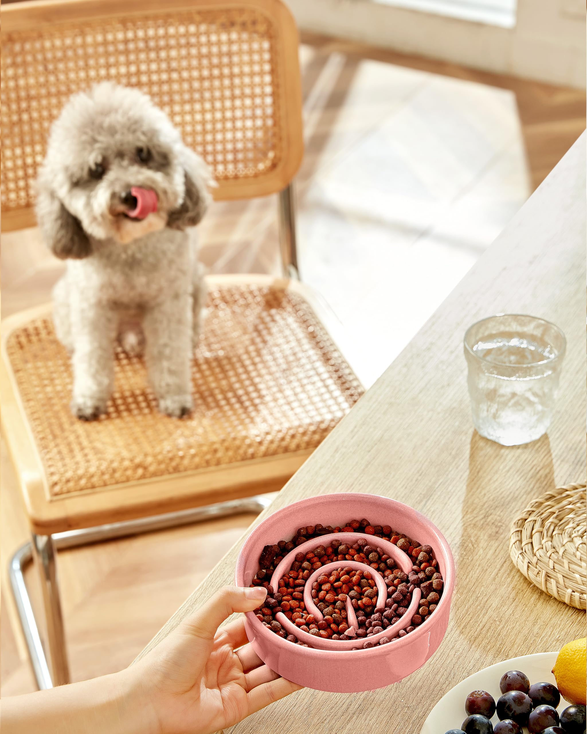 MOPANG cuenco cerámico lento para gatos pequeños, rosa, favorece la concentración durante la comida.