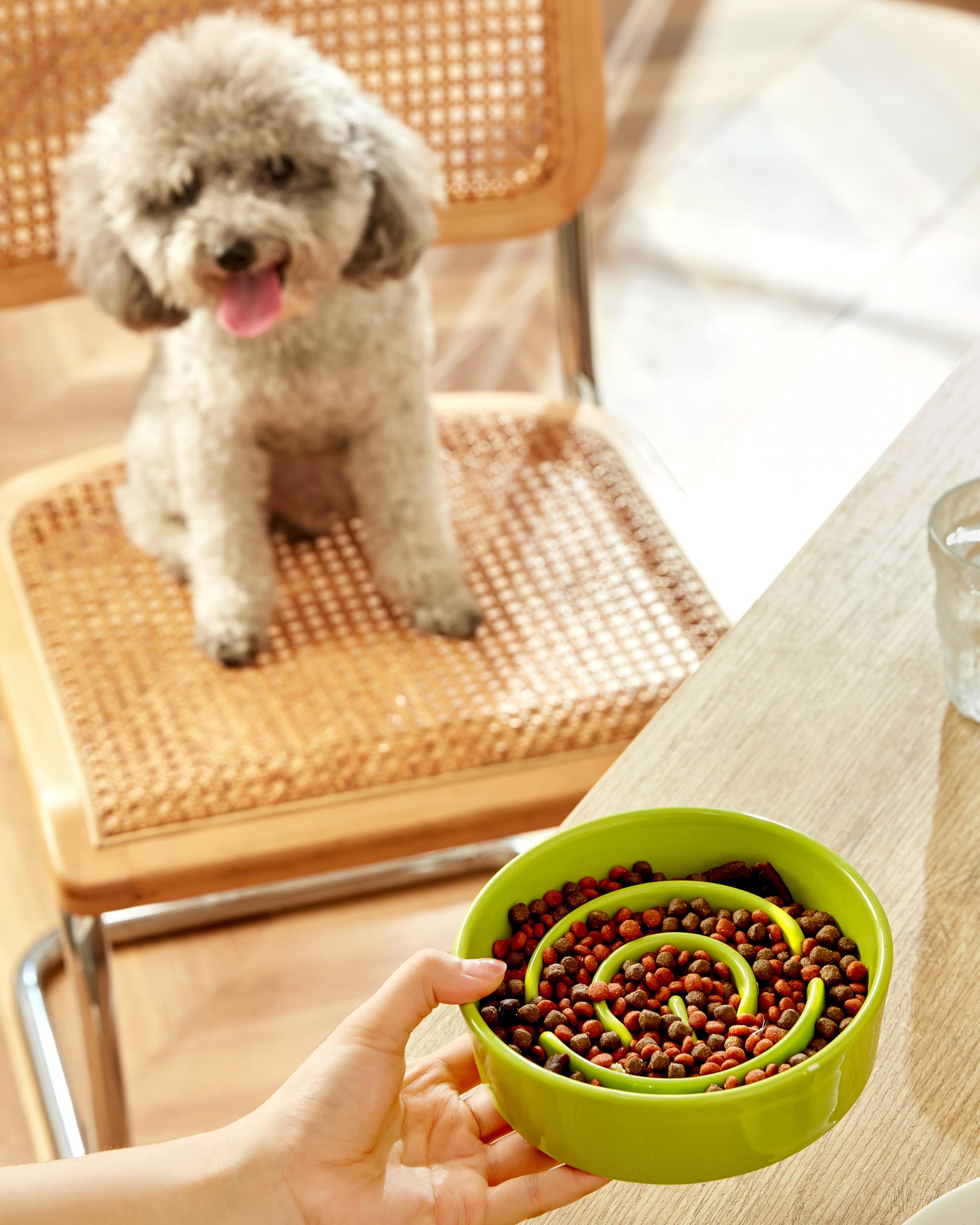 MOPANG diseño puzzle laberinto cerámico para perros pequeños, mejora la experiencia de comida.