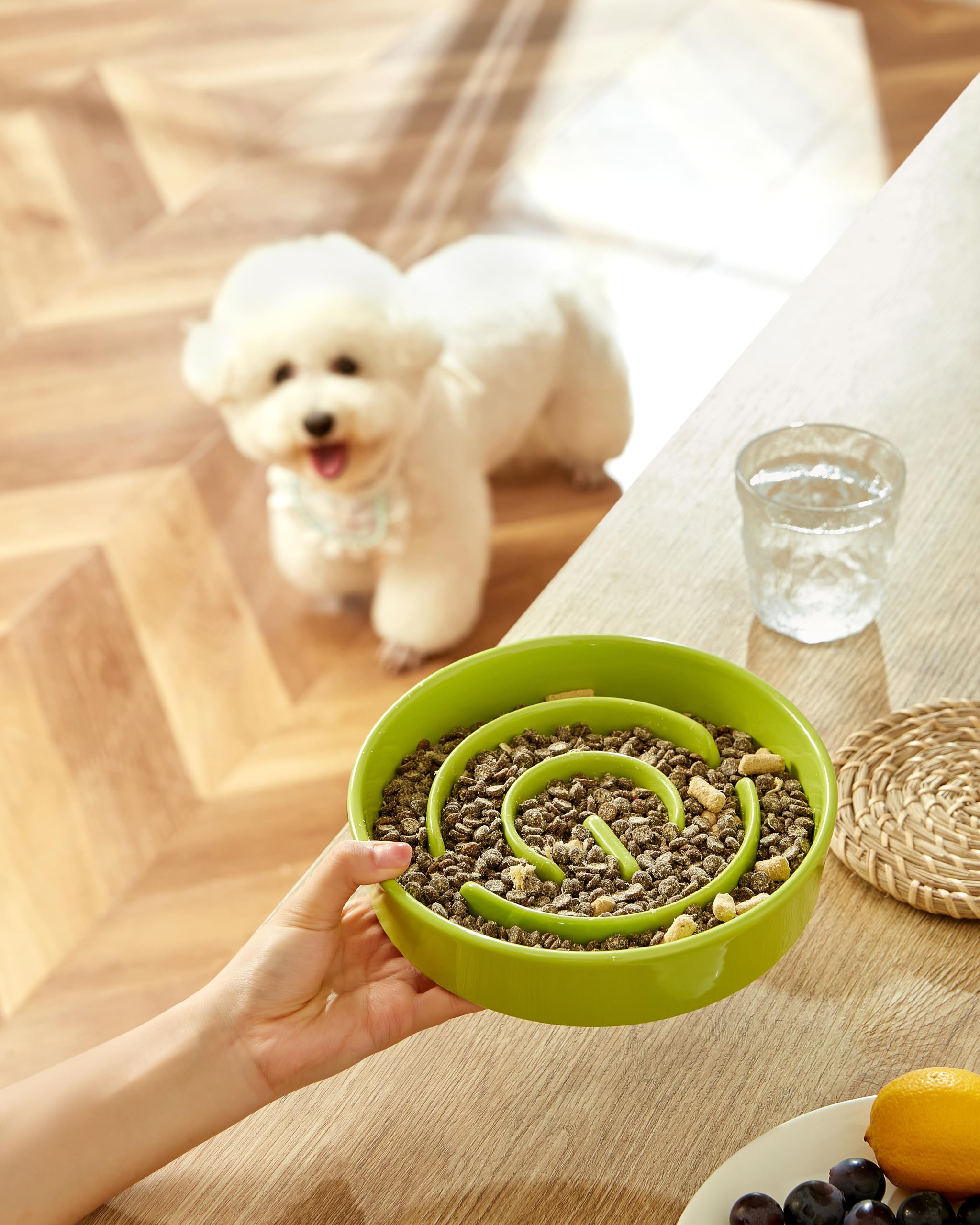 MOPANG tazón cerámico para perros medianos, fácil de limpiar