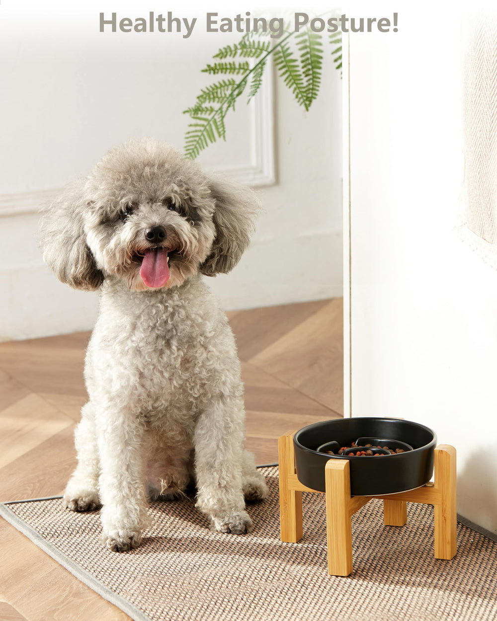 Tazón cerámico de MOPANG para perros pequeños, apto para gatos y ingesta lenta.