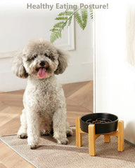Tazón cerámico de MOPANG para perros pequeños, apto para gatos y ingesta lenta.