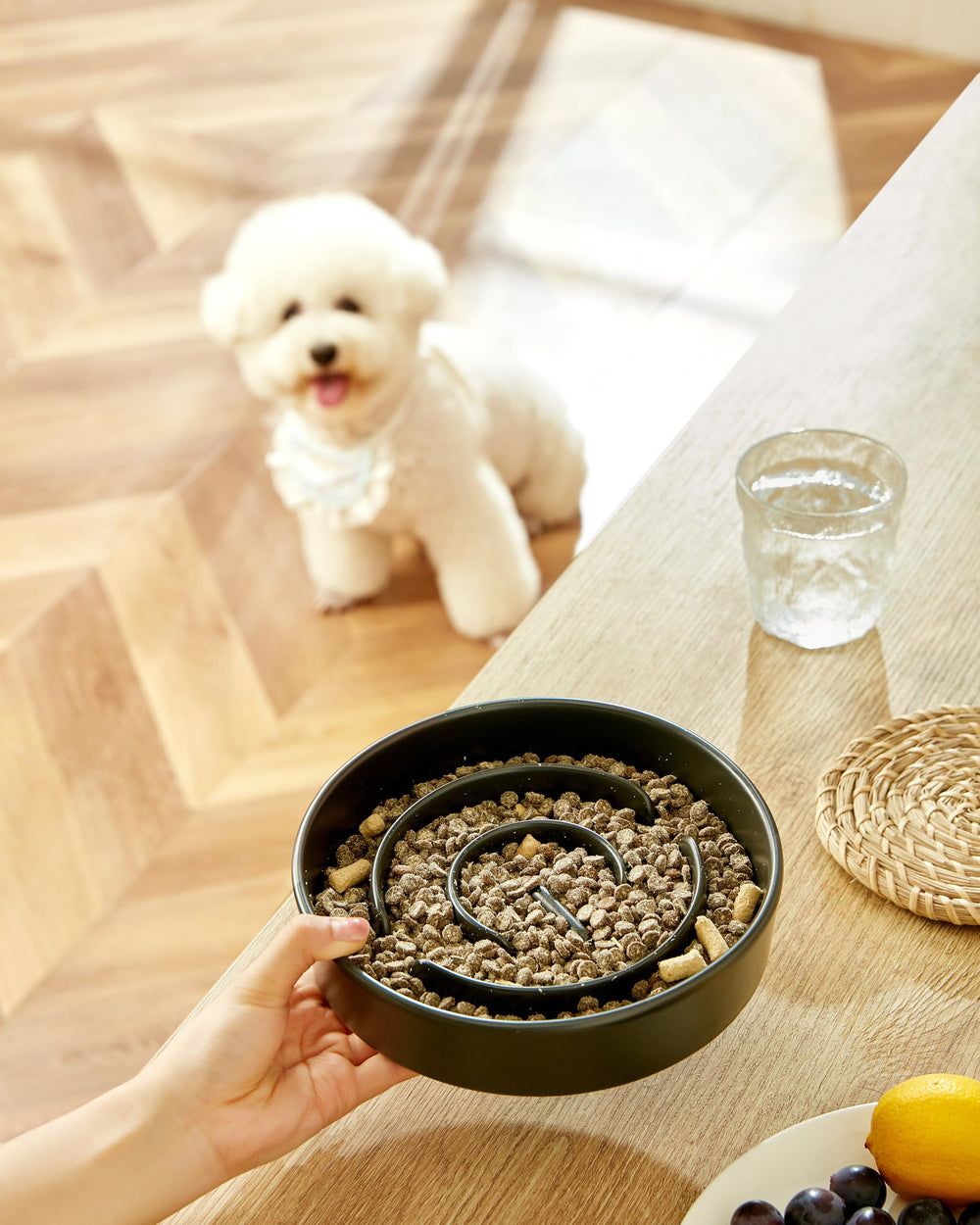 MOPANG tazón cerámico con rompecabezas para perro, estímulo durante la comida.
