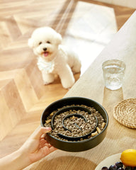 MOPANG tazón cerámico con rompecabezas para perro, estímulo durante la comida.