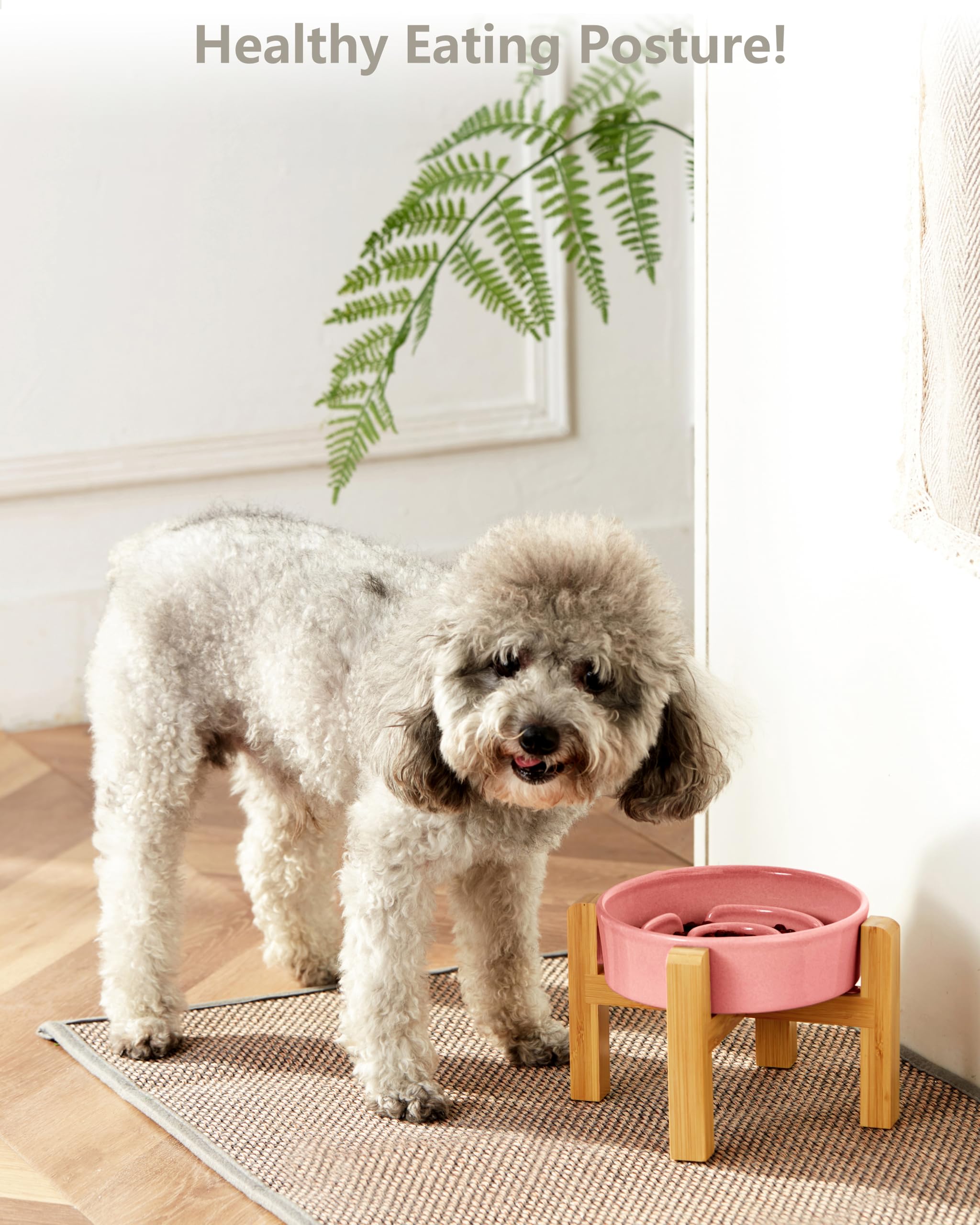 MOPANG tazón rompecabezas para perros y gatos pequeños, fomenta comer despacio.