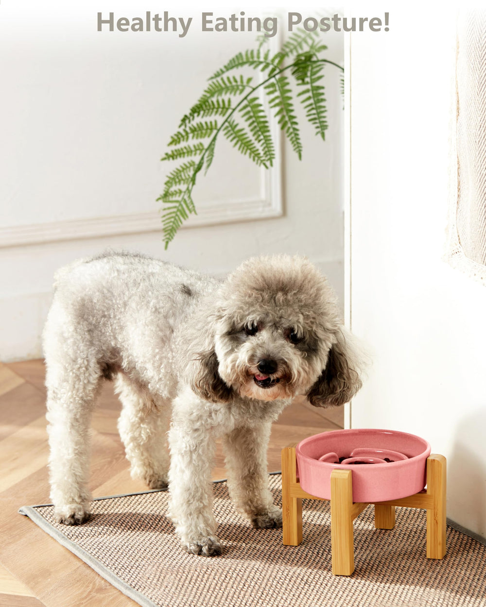 MOPANG tazón rompecabezas para perros y gatos pequeños, fomenta comer despacio.