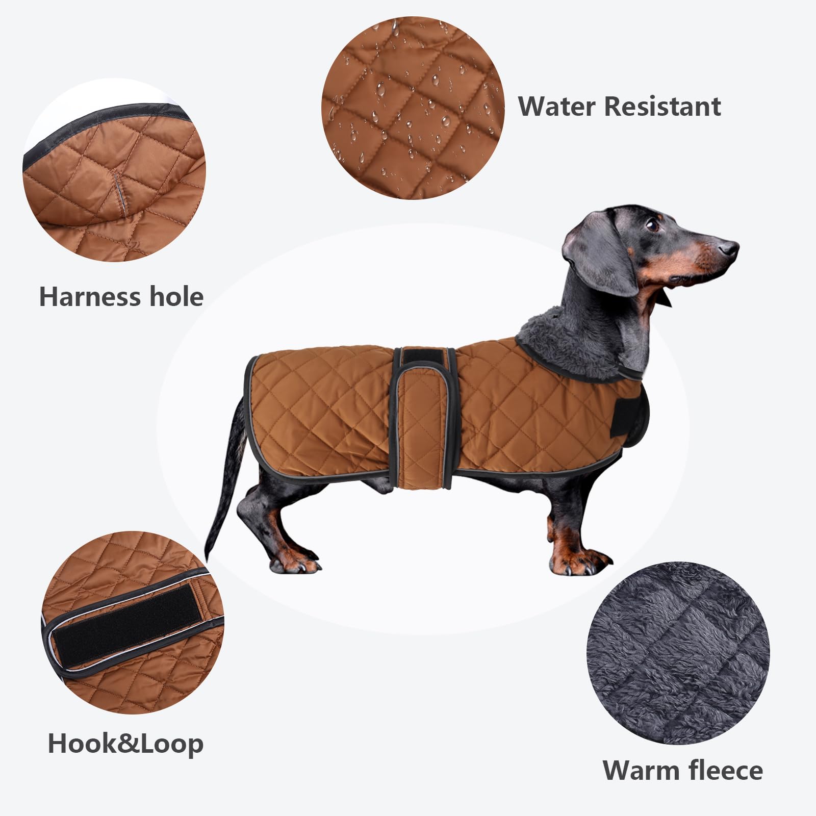 Morezi abrigo dachshund ajuste con bandas para un ajuste cómodo