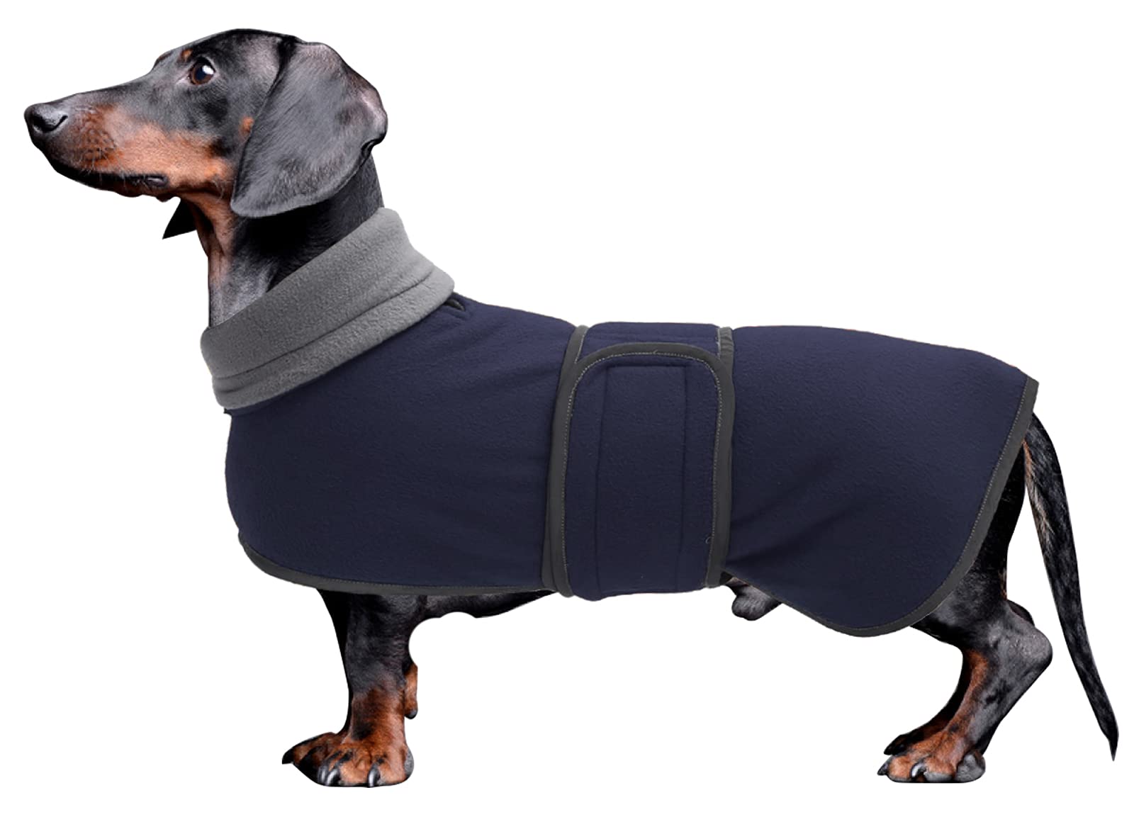 Morezi abrigo teckel invierno reflectante para paseos nocturnos